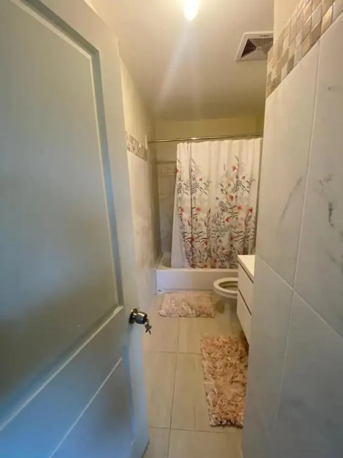 The Loft Apartment Кингстон 0*,  Ямайка