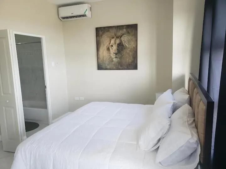 The Loft Apartment 킹스톤