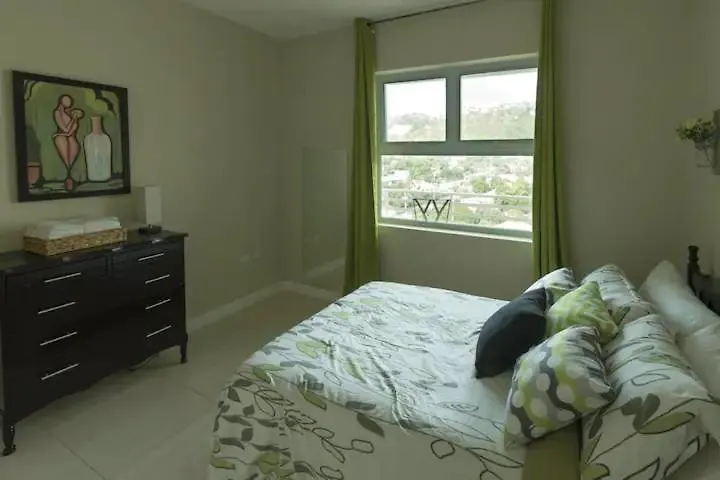 The Loft Apartment 킹스톤